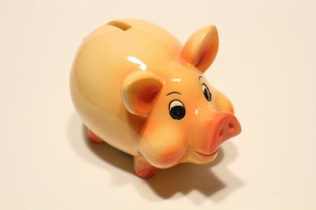 Polysparkasse Schwein