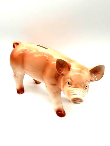 Sparkasse Schwein stehend groß