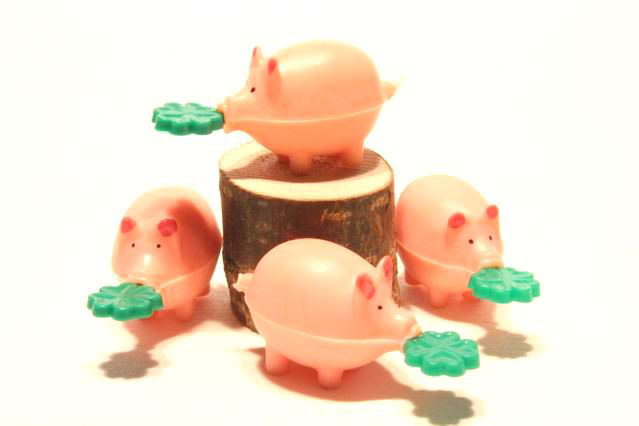 Schweinchen rosa klein mit Klee