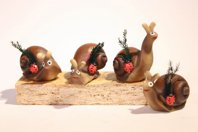 Schnecke braun mit Käfer
