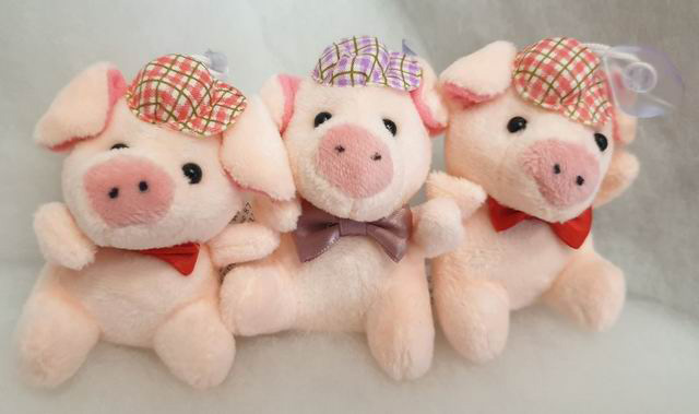 Plüschschwein mit Kappe