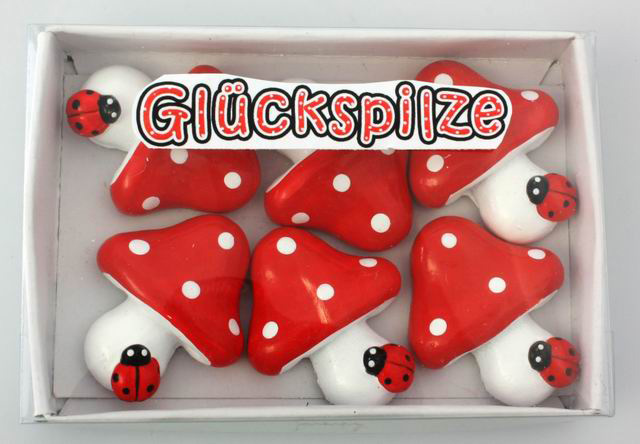 Glückspilz in Box