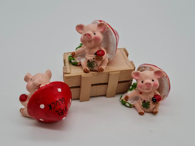 Schweinchem mit Viel Glück Fliegenpilz sort.