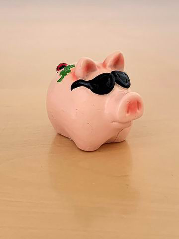 Schwein mit schwarzer Sonnenbrille