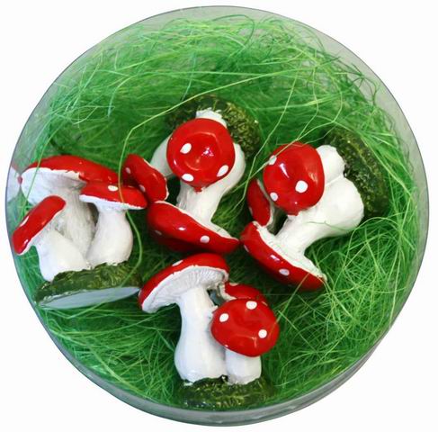 Fliegenpilz Familie