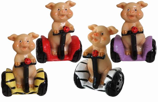 Schwein auf Segway