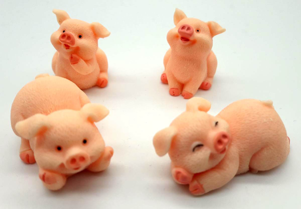 Niedliches Schwein 5 sortiert