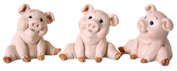 Tollpatschiges Poly Schwein